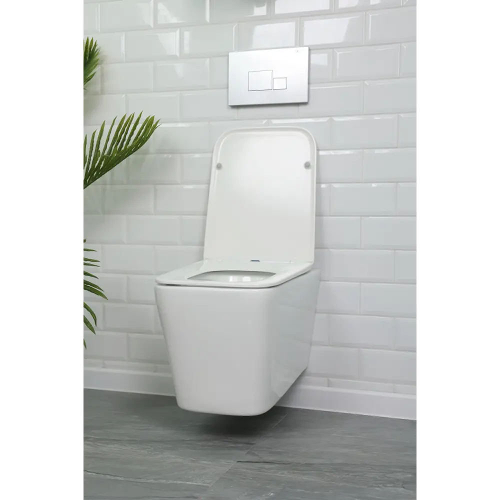 Подвесной унитаз Alcora Tormenta с микролифтом и безободковым дизайном 89360844 STLM-0999515 - Вид №3