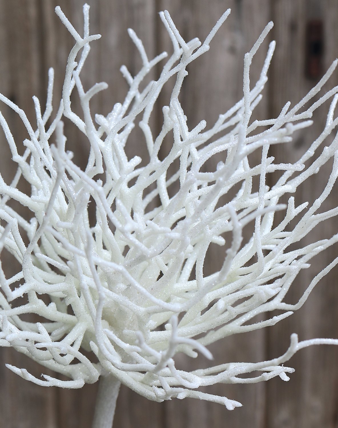 5706 799 a3 Ветка декоративная искусственная, 60 см, матовый белый H-andreas 