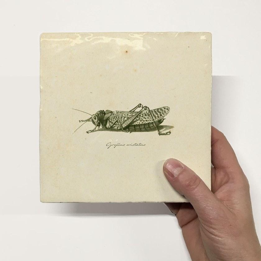 Groovy Magnets Настенный декоративный предмет из керамики Tiles M-tile-gr - Вид №1