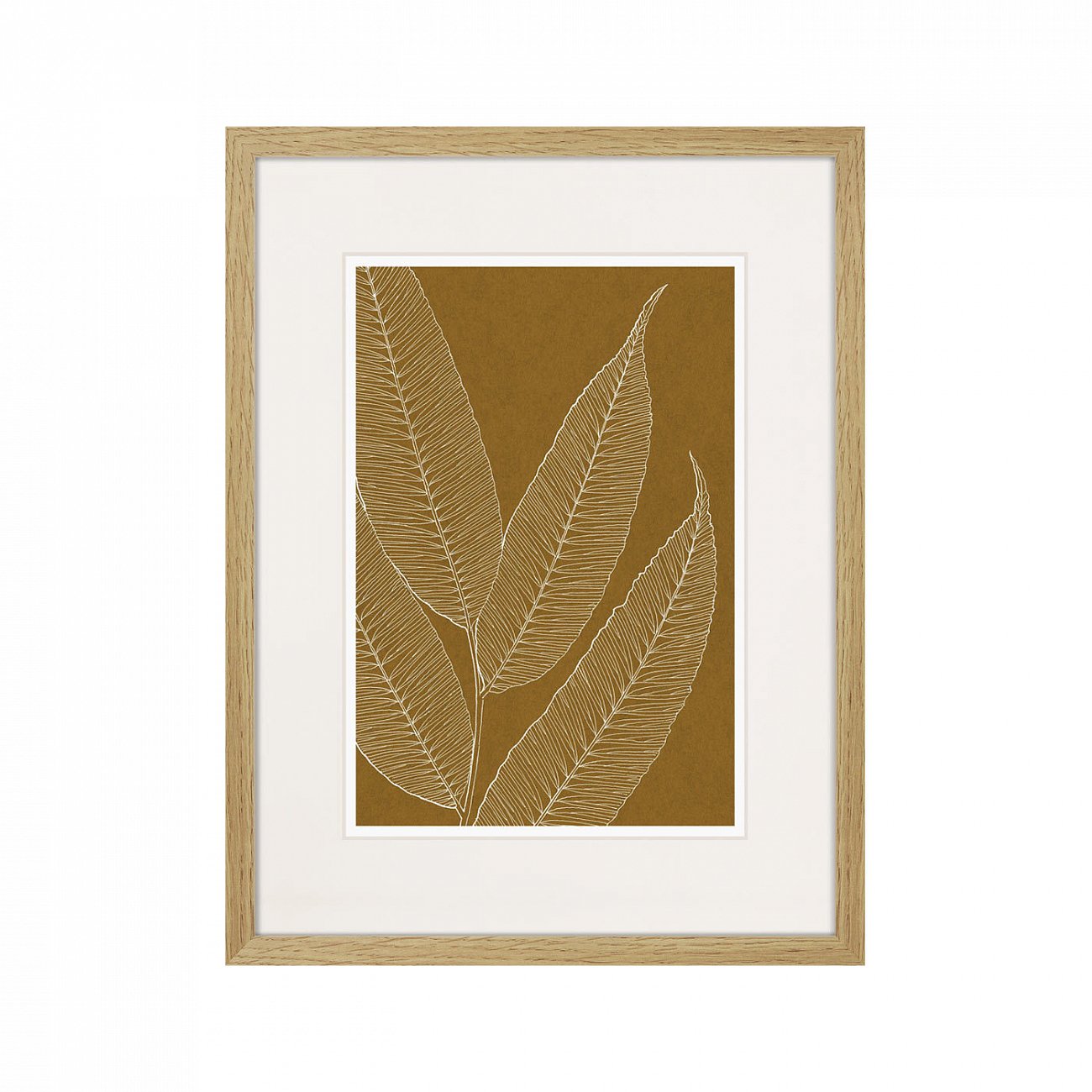 Картина 42х32 см The Fern Collection №22 КАРТИНЫ В КВАРТИРУ  00-3894678 Коричневый  - Вид №1