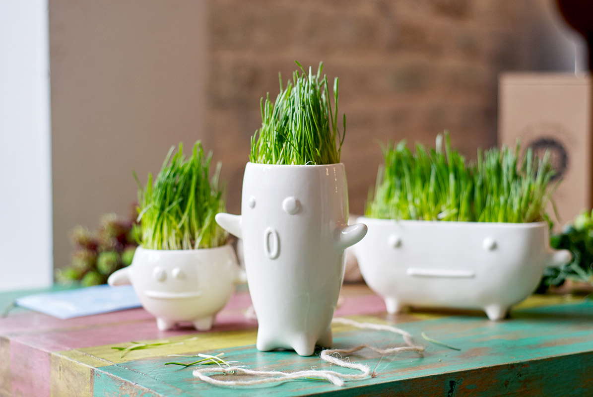 Ваза Eco Тиль ЭКОЧЕЛОВЕКИ 8001 - Вид №2