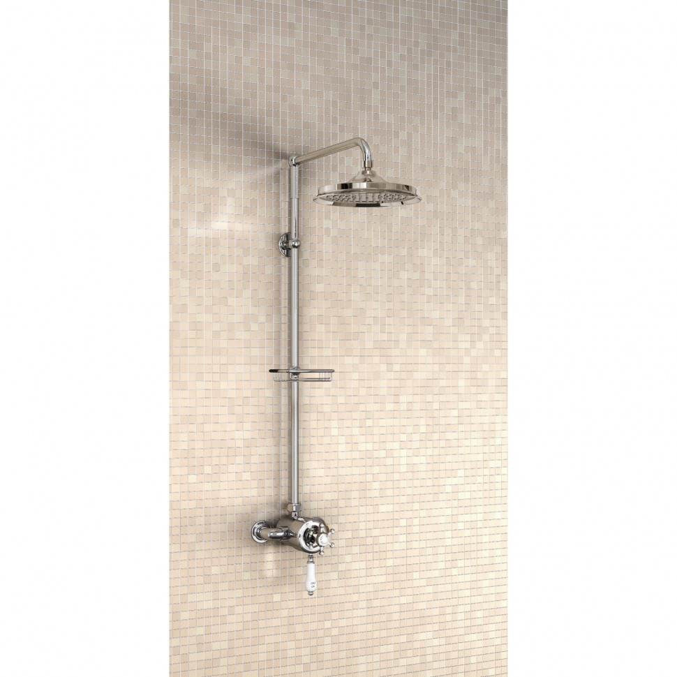 Душевая стойка с внешним термостатом на 1 выпуск, верхняя лейка 9' [H5-BI] Birkenhead Burlington V3, V4, V11-1, V17/ARCV17 CHR, V21/ARCV21 CHR, V23/ARCV23 CHR  - Вид №1