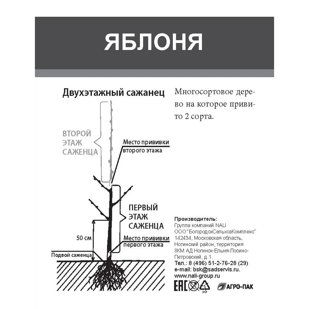 Яблоня двухъярусное дерево 2 сорта ø20 h180 см 85670476 STLM-2205665 Santreyd  - Вид №1