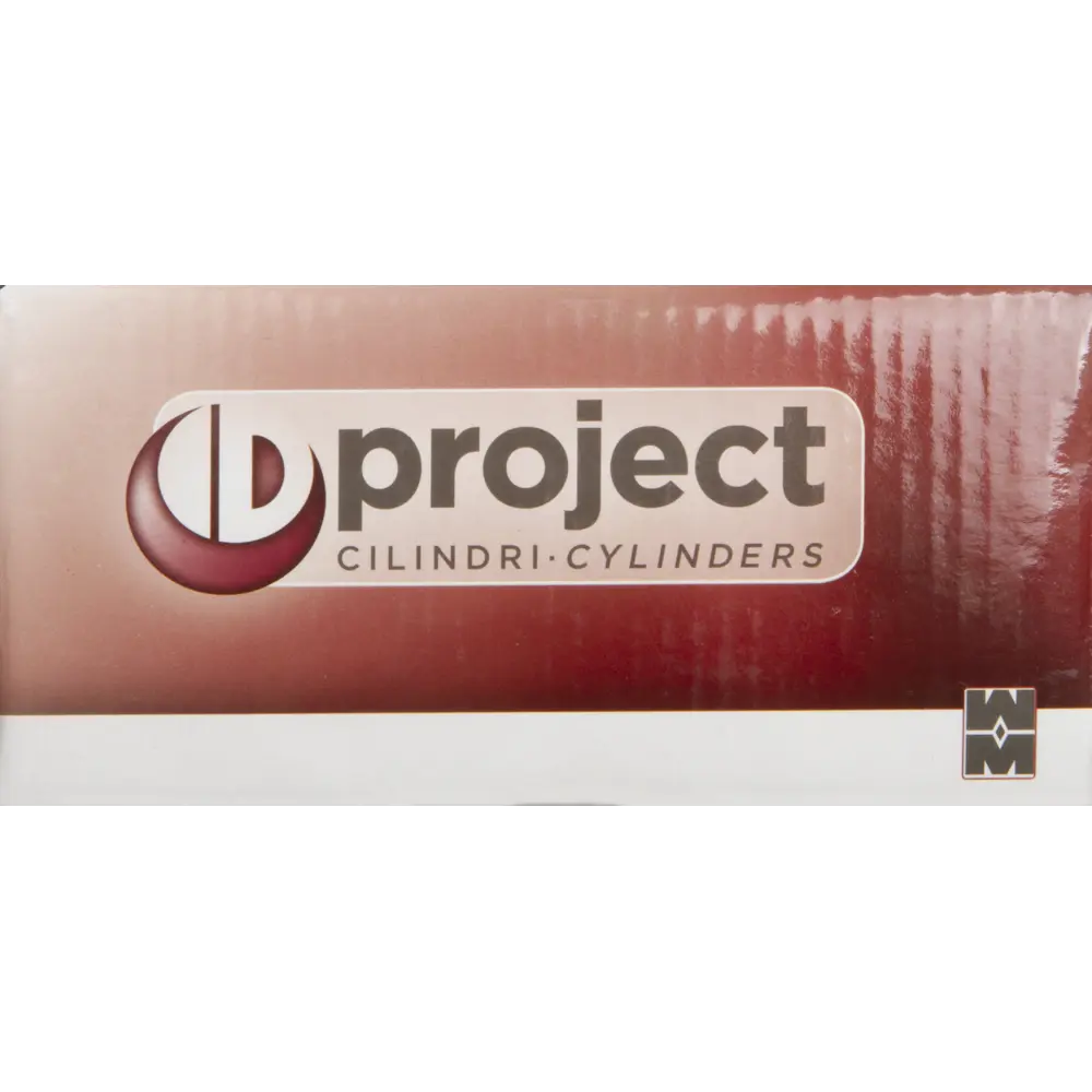 Цилиндр Mottura Project DPC1P5131 S3, 46x10x26 мм, ключ/шток, цвет никель, без вертушки STLM-2063334 - Вид №3