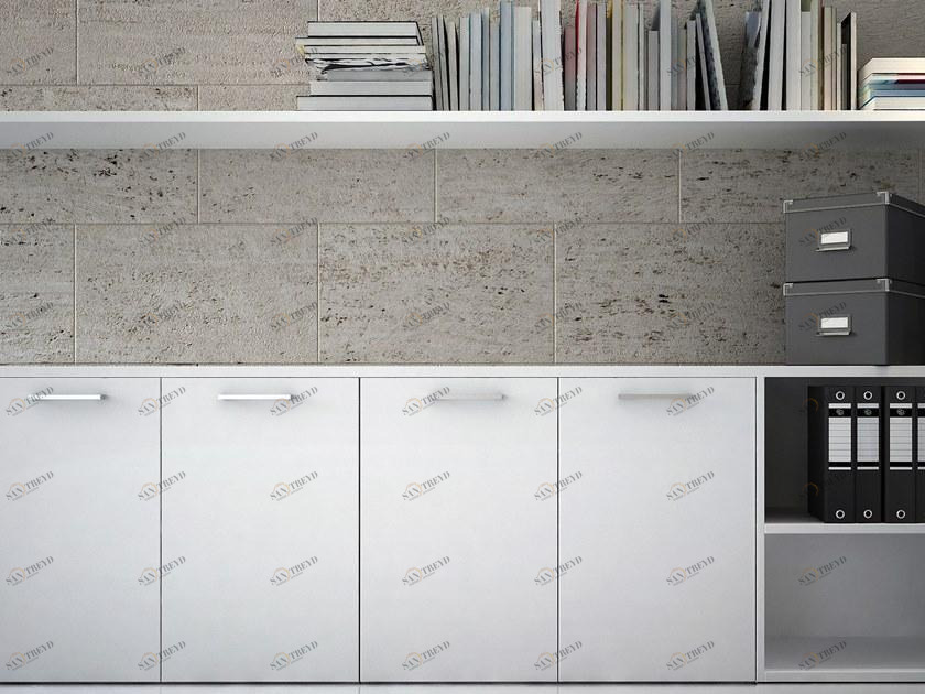 Elitable Низкий офисный ящик для хранения из дерева с распашными дверцами sun-id-1446245