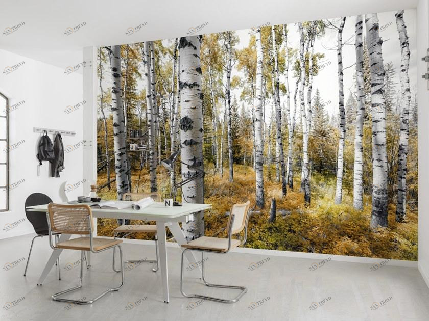 Komar Флизелиновые обои с пейзажами Wanderlust Shx9-015