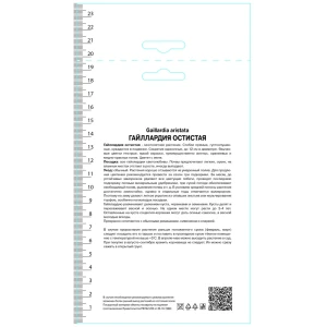 Гайлардия остистая Аризона Эприкот 89452187 STLM-2082690