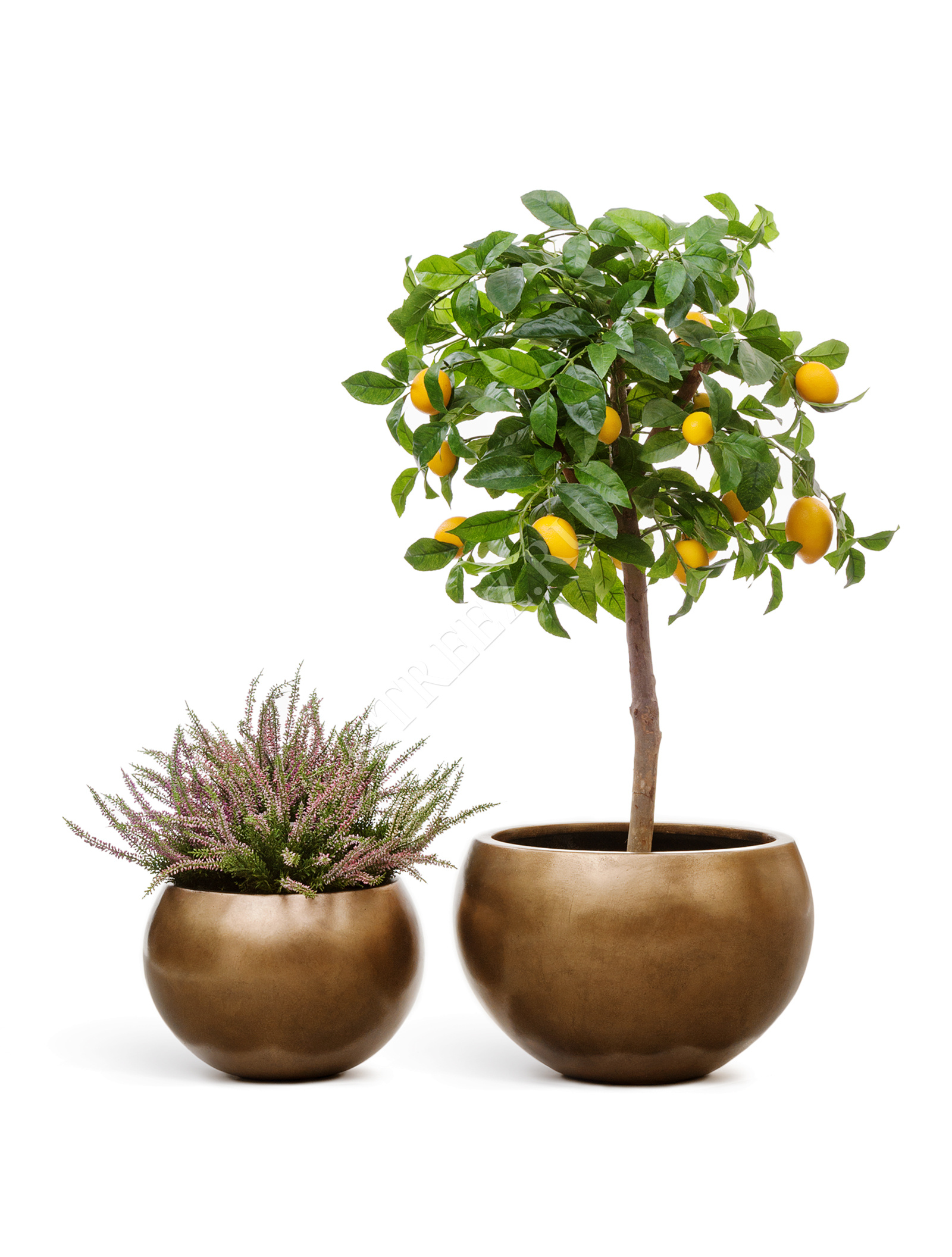 41.3318-04-016-BRS-22 Кашпо  Effectory - серия Metal - Полусфера - Тёмное матовое золото Цветочная коллекция  - Вид №5