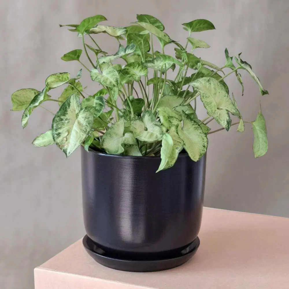 Горшок для цветов Шайн Ø15 h13 см v1.5 л керамика черный Santreyd нет STLM-2052282 - Вид №1