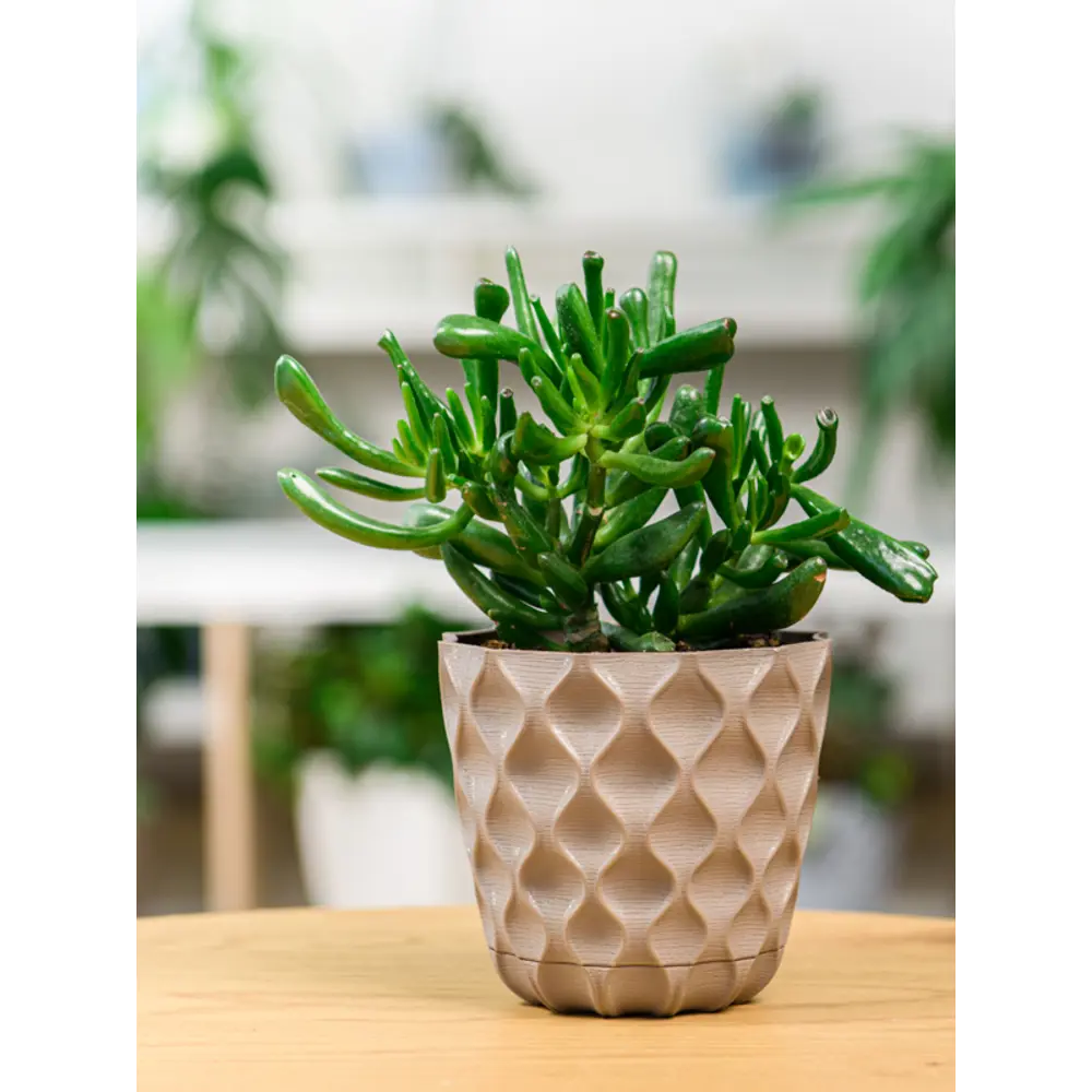 Ingreen Wave — керамический горшок для растений в стиле французский платан 89344193 STLM-1482681 - Вид №4