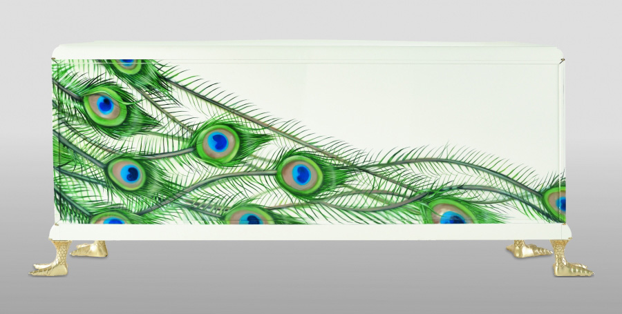 002803 Комод Peacock Jetclass  - Вид №4