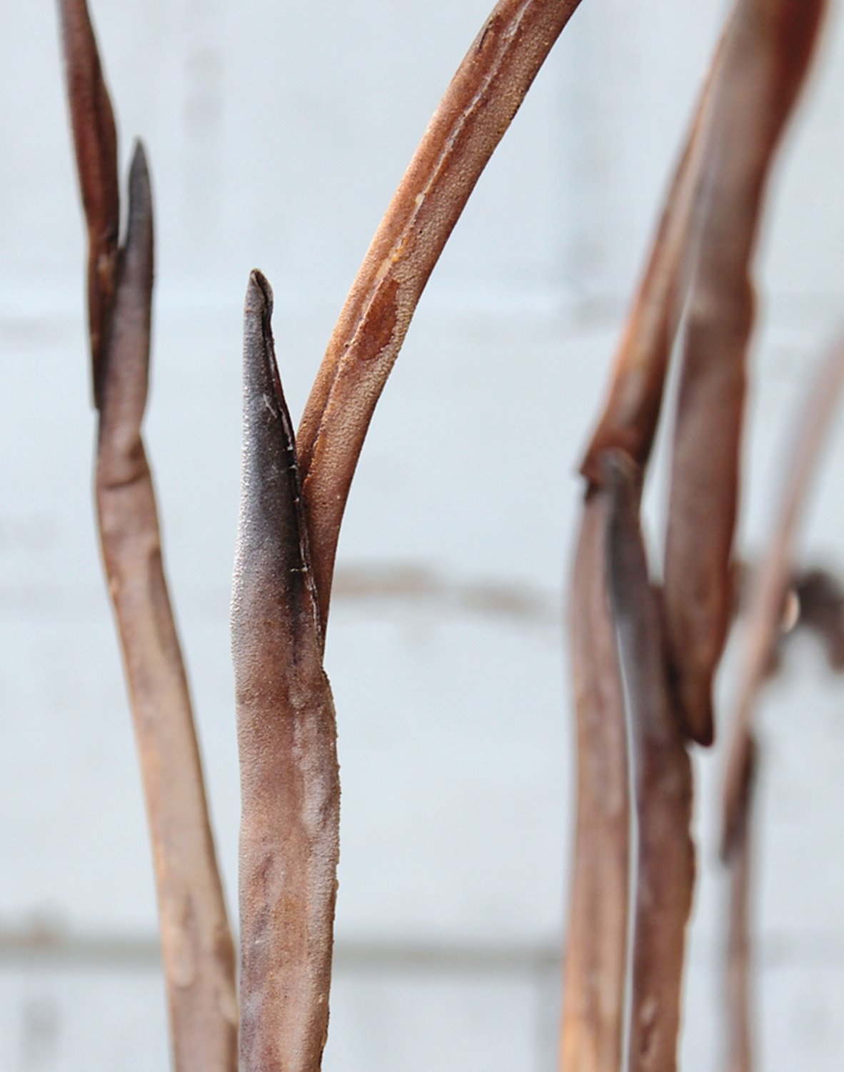 7892 616 a3 Шелковый мягкий цветок 'Ветка травы', 120 см, натуральный H-andreas  - Вид №3