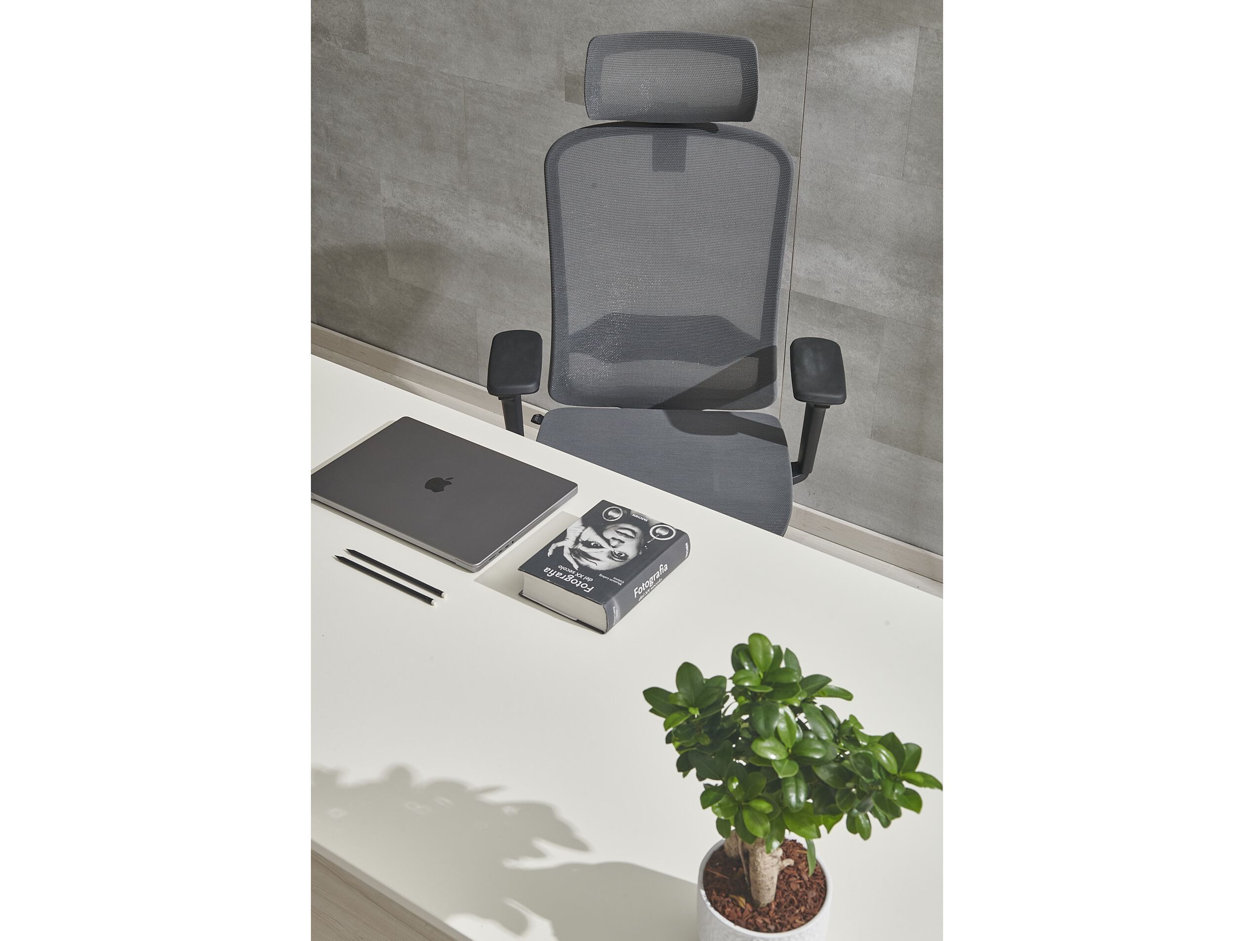 Офисное кресло с регулируемой высотой из 5 спиц AP Factor Аризона ARCH-00110605 - Вид №5