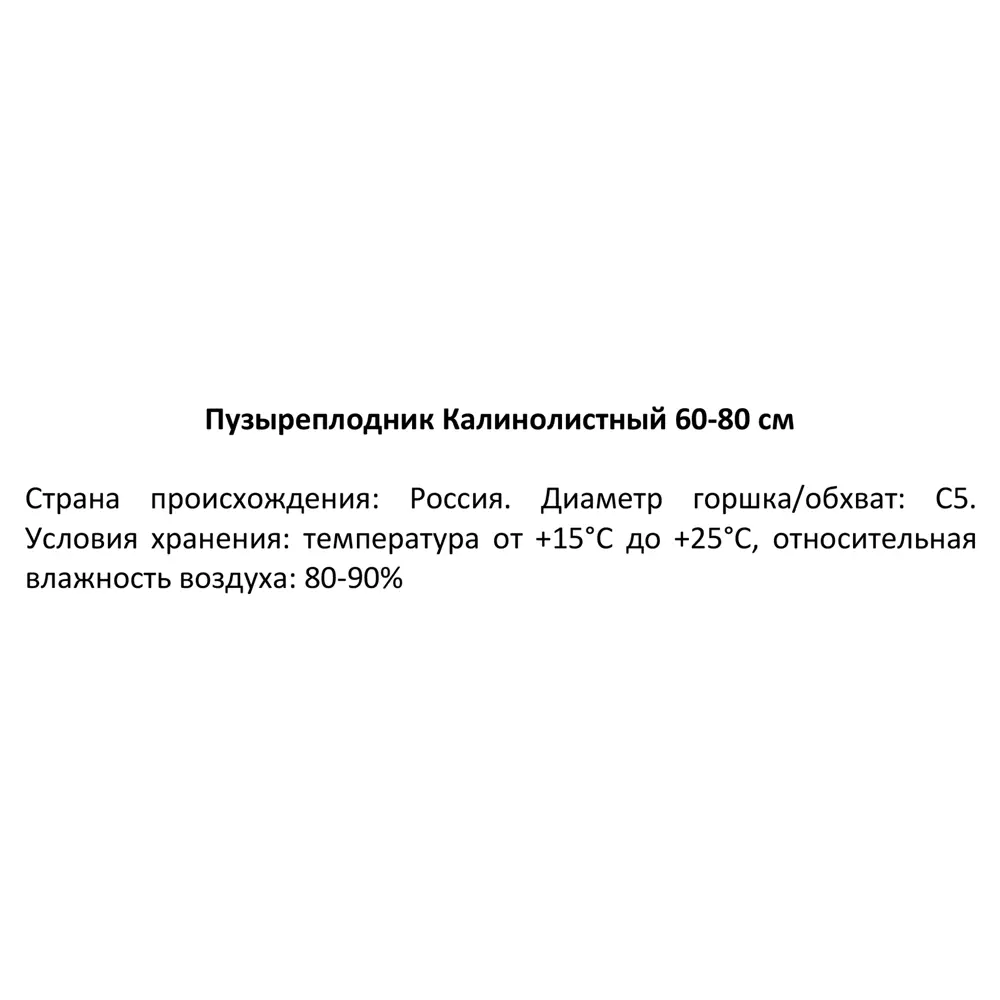 Пузыреплодник Калинолистный h60-80 см 85320146 STLM-2206107 Santreyd  - Вид №3