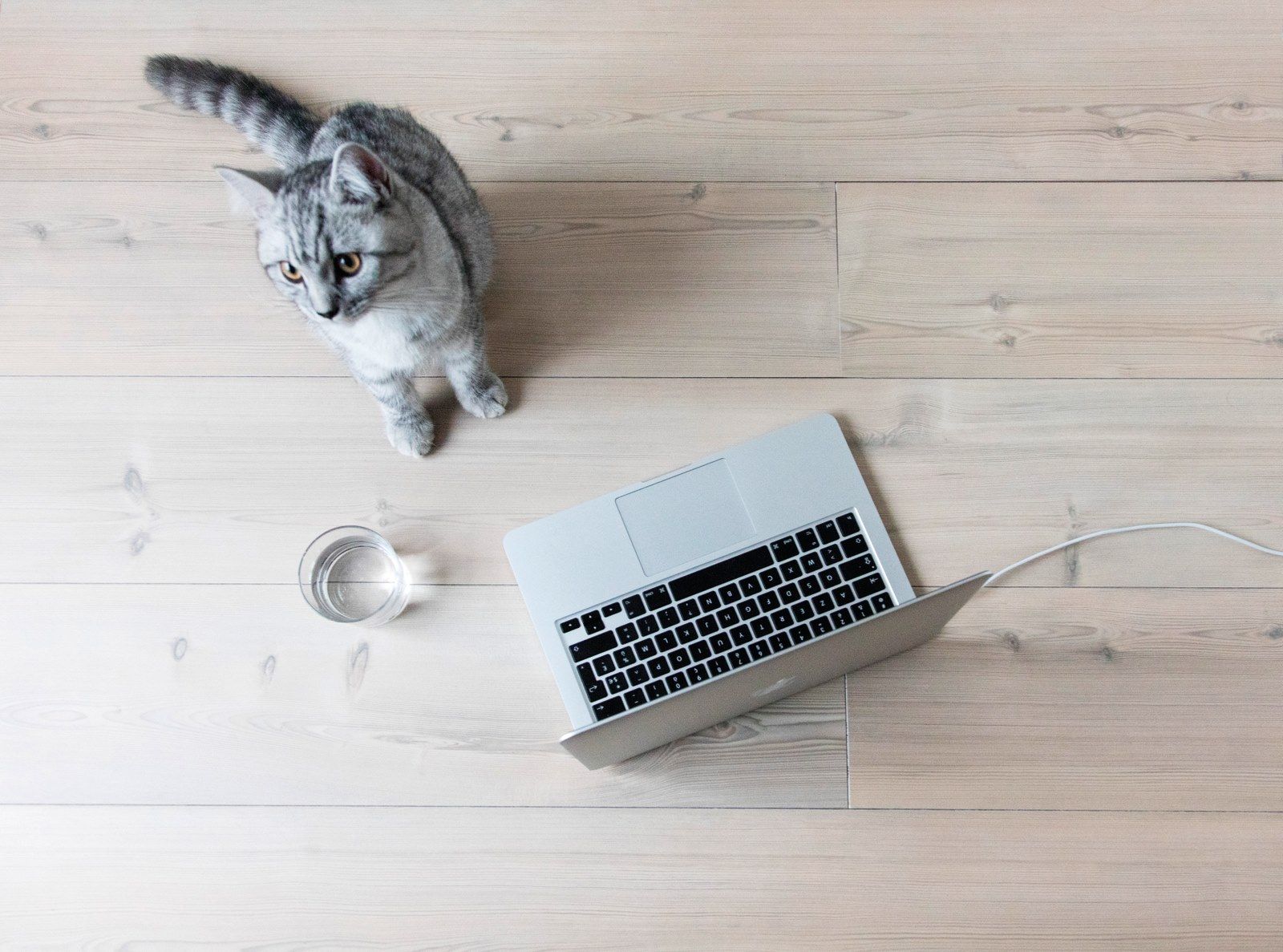 Пол высокого давления Woodco BerryAlloc HPF ARCH-00036683 - Вид №14