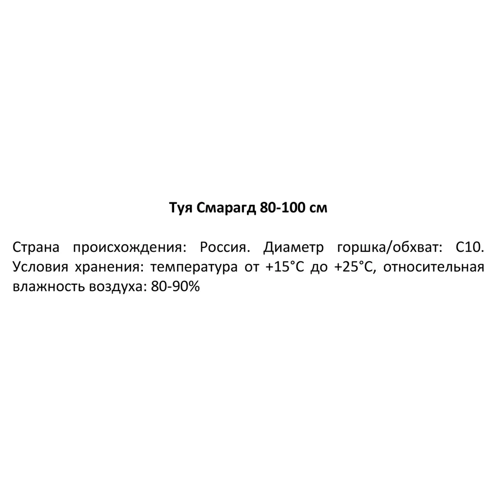 Туя западная Смарагд ø28 см h80-100 см 85088225 STLM-2107043 Santreyd  - Вид №3