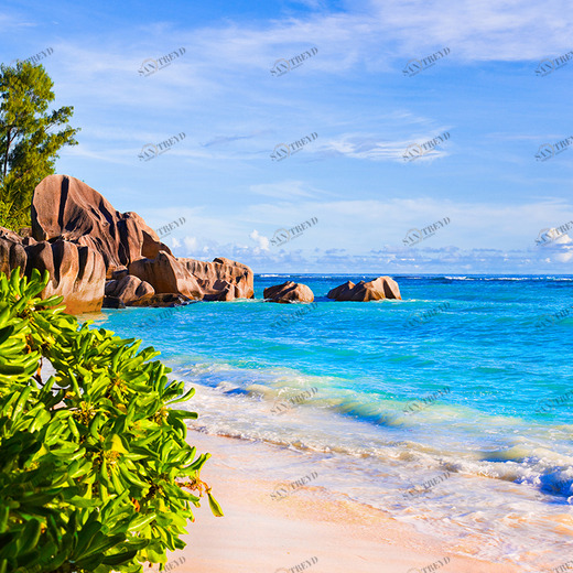 C1-101 Фотообои DIVINO Collection C 2.7х3 м C1101