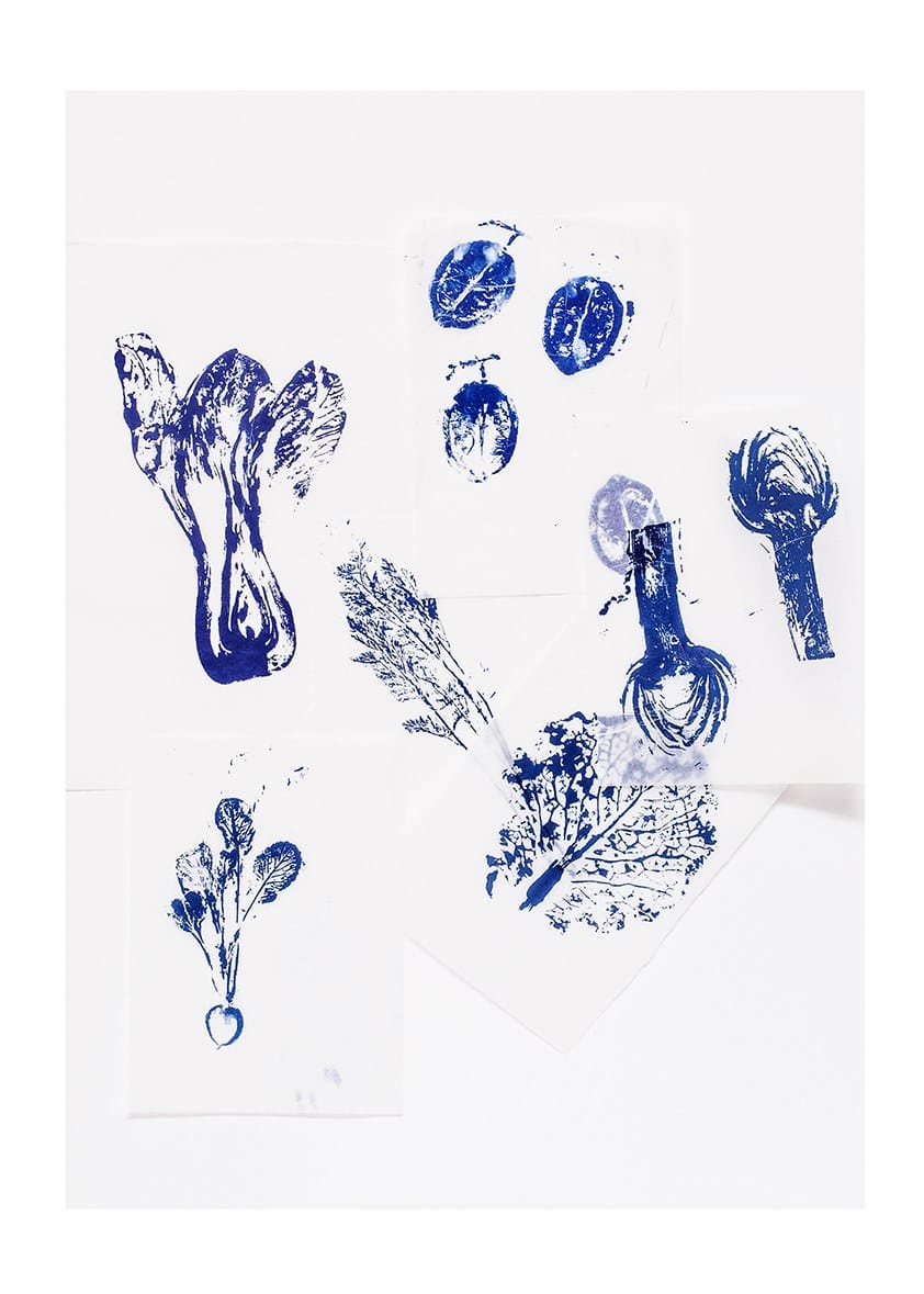 Фарфоровая десертная тарелка Non Sans Raison Végétal ARCH-00076283 - Вид №2