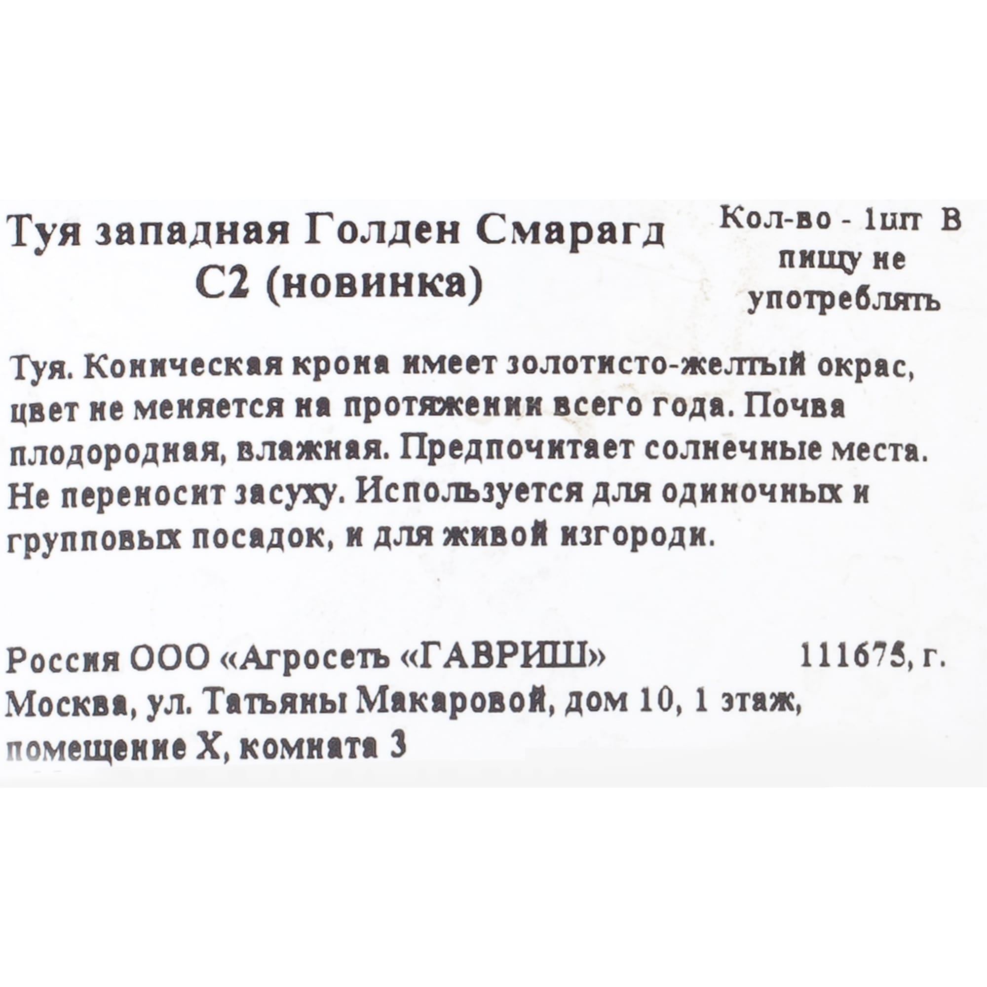 18077209 Туя «Голден Смарагд», западная Santreyd  - Вид №1