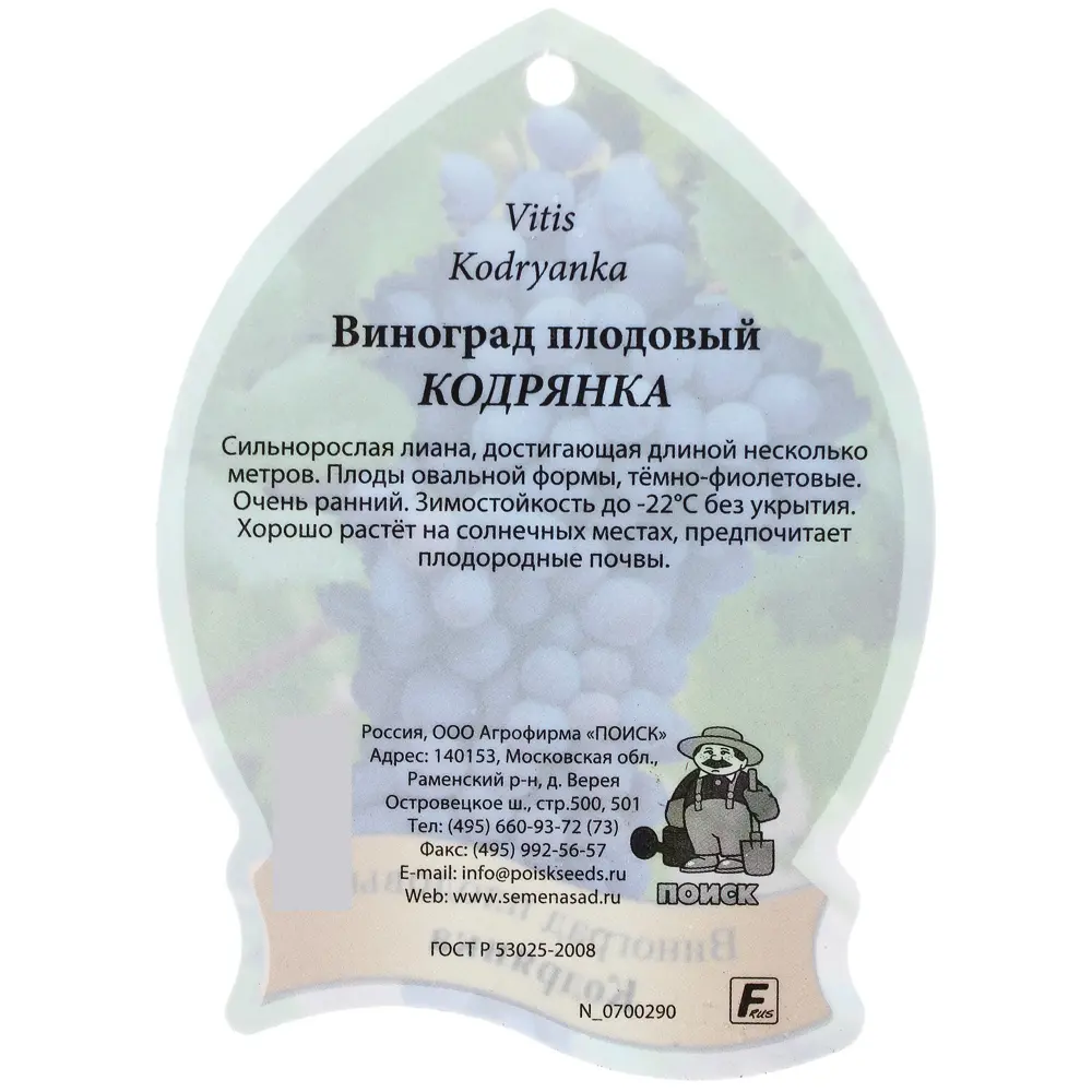Виноград плодовый «Кодрянка», контейнер 2 л 81969624 STLM-2122122 Santreyd  - Вид №1
