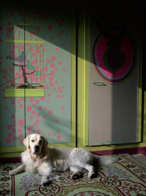 CONCEPTUWALL Обзор Cabinet de curiosités sun-id-1472471 - Вид №1