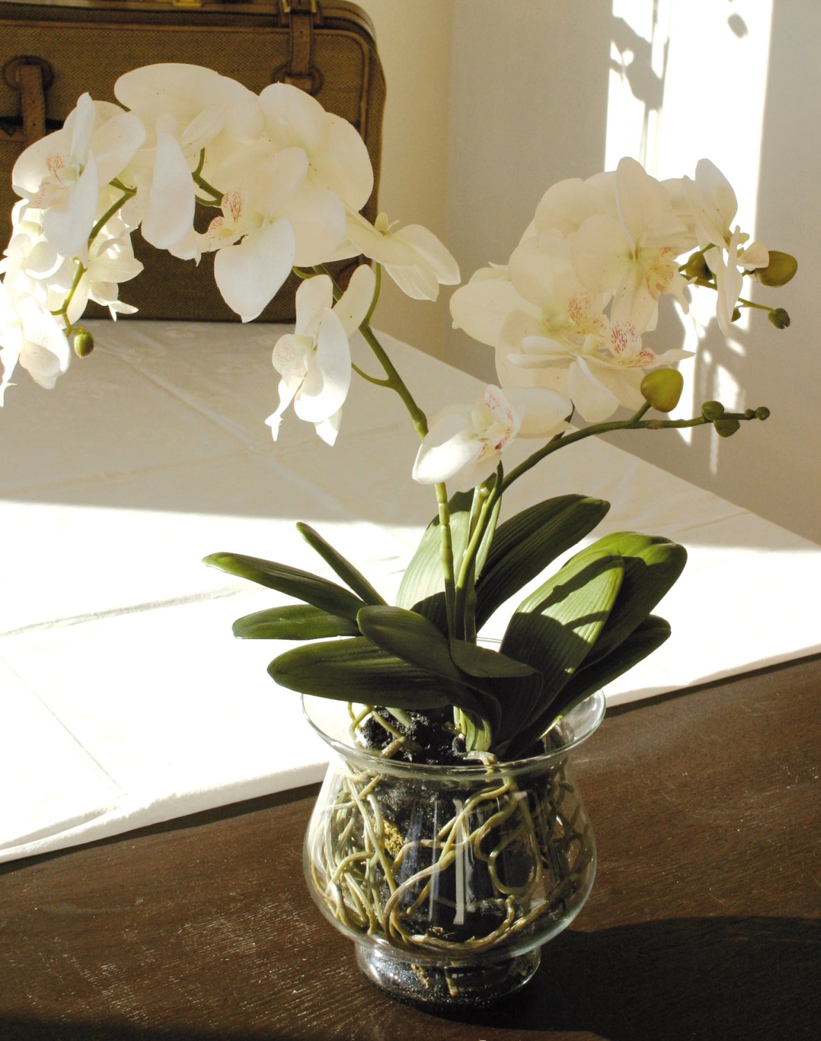 2587 778 a3 Пластиковая орхидея Phalaenopsis в стеклянном горшке, 58 см, real touch, бежево-белая H-andreas  - Вид №2