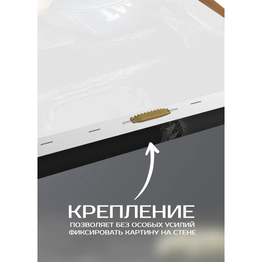 Картина на холсте Кот-хипстер 2 70x110 см 87233205 STLM-2123994 FBRUSH  - Вид №5