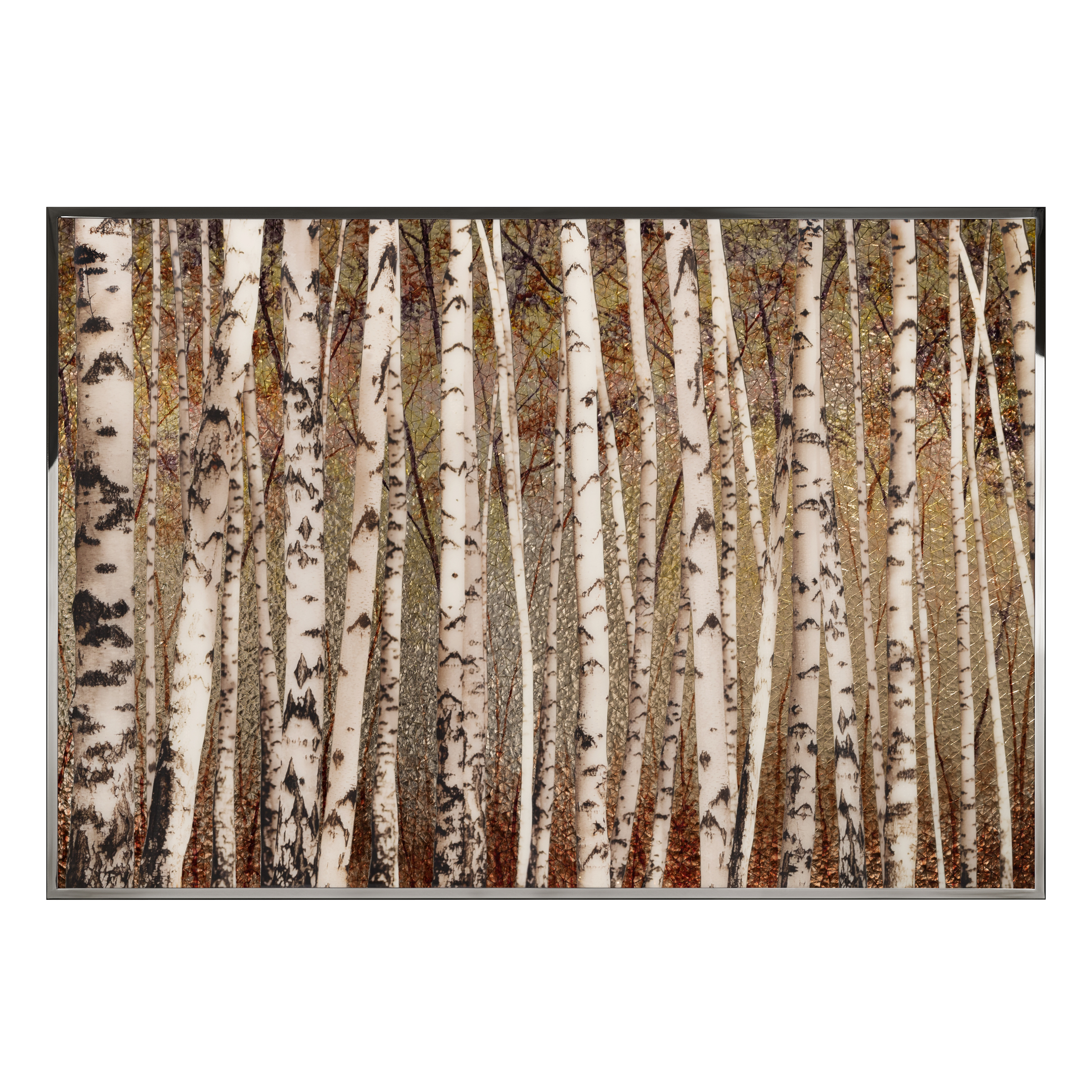 Birches Смешанная техника Visionnaire  - Вид №1
