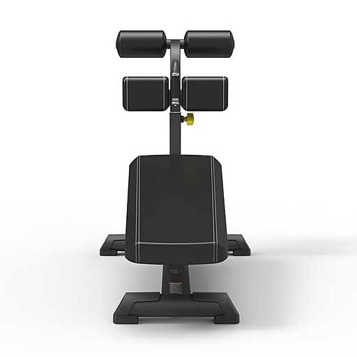 SP-4218 Spirit fitness sp-4218 регулируемая скамья для пресса Spirit Fitness  - Вид №1