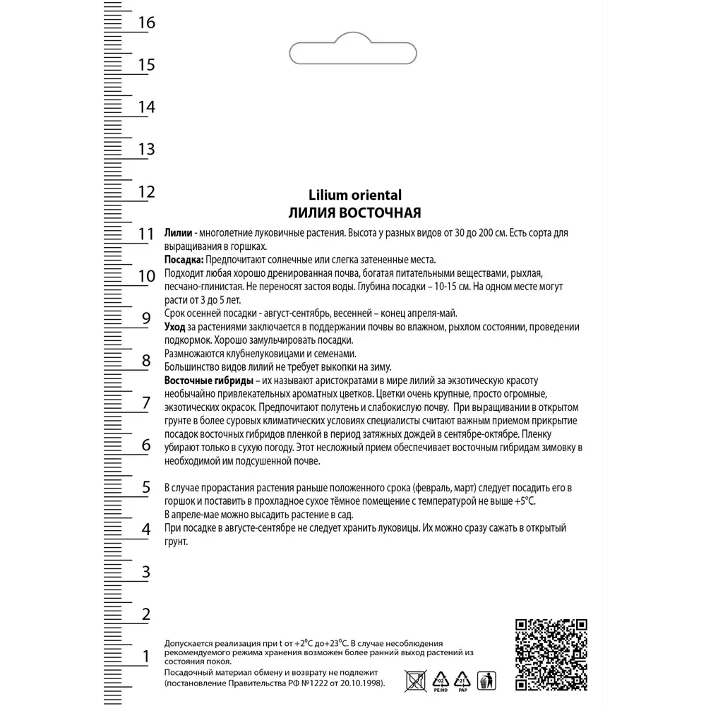 Santreyd Лилия Six Sense - винно-красная с белым краем 82530238 STLM-0960554 - Вид №1