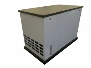 Бензиновый генератор REG GG12-380 S в кожухе с АВР