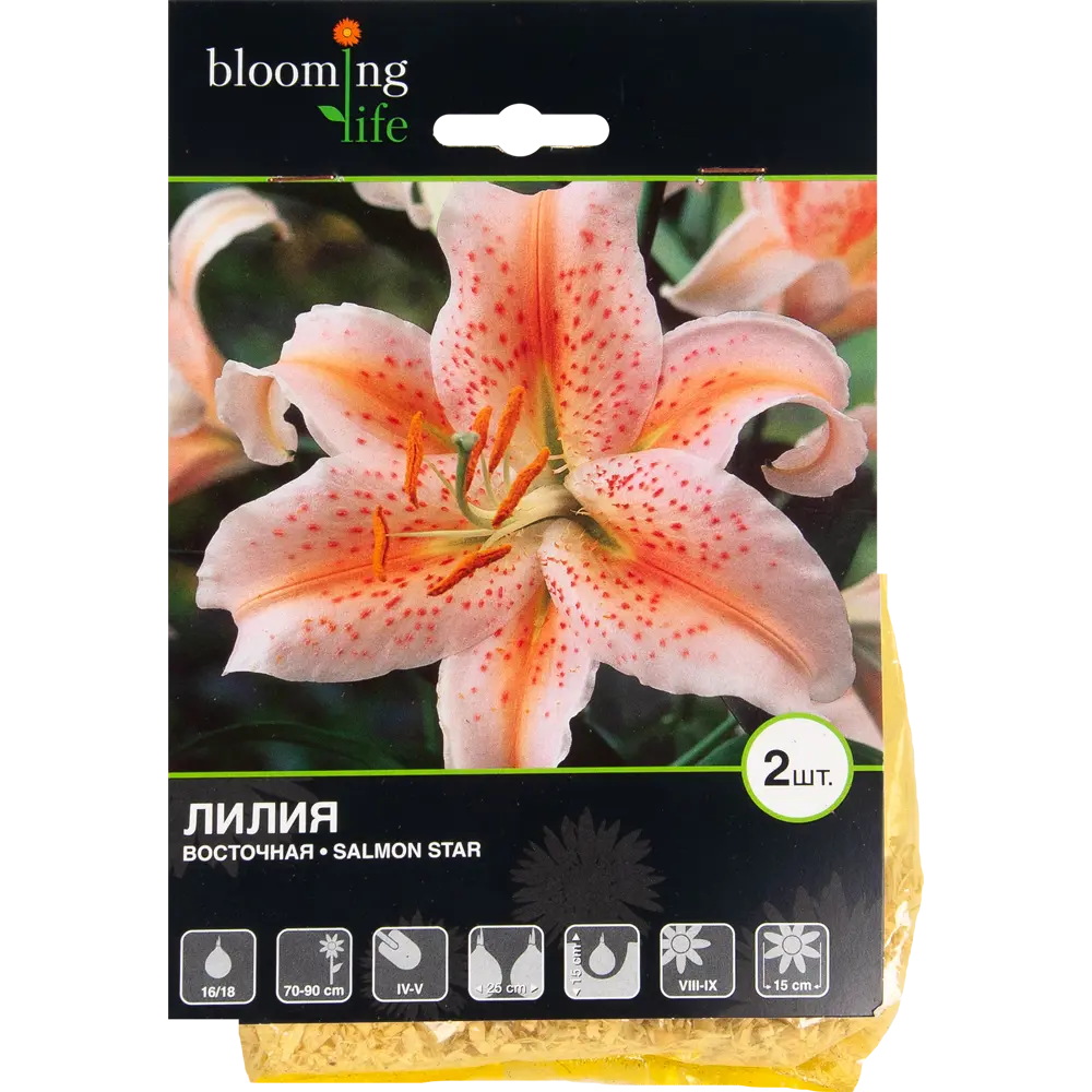 Лилия восточная Салмон Стар 82539385 STLM-2128189 BLOOMING LIFE 