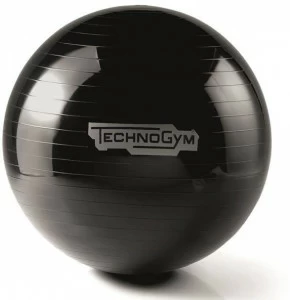 Technogym Аксессуар для фитнеса Wellness tools A0000154/5-aa