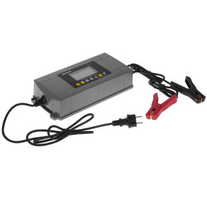 4893940 Зарядное устройство BERKUT Specialist BCA-25