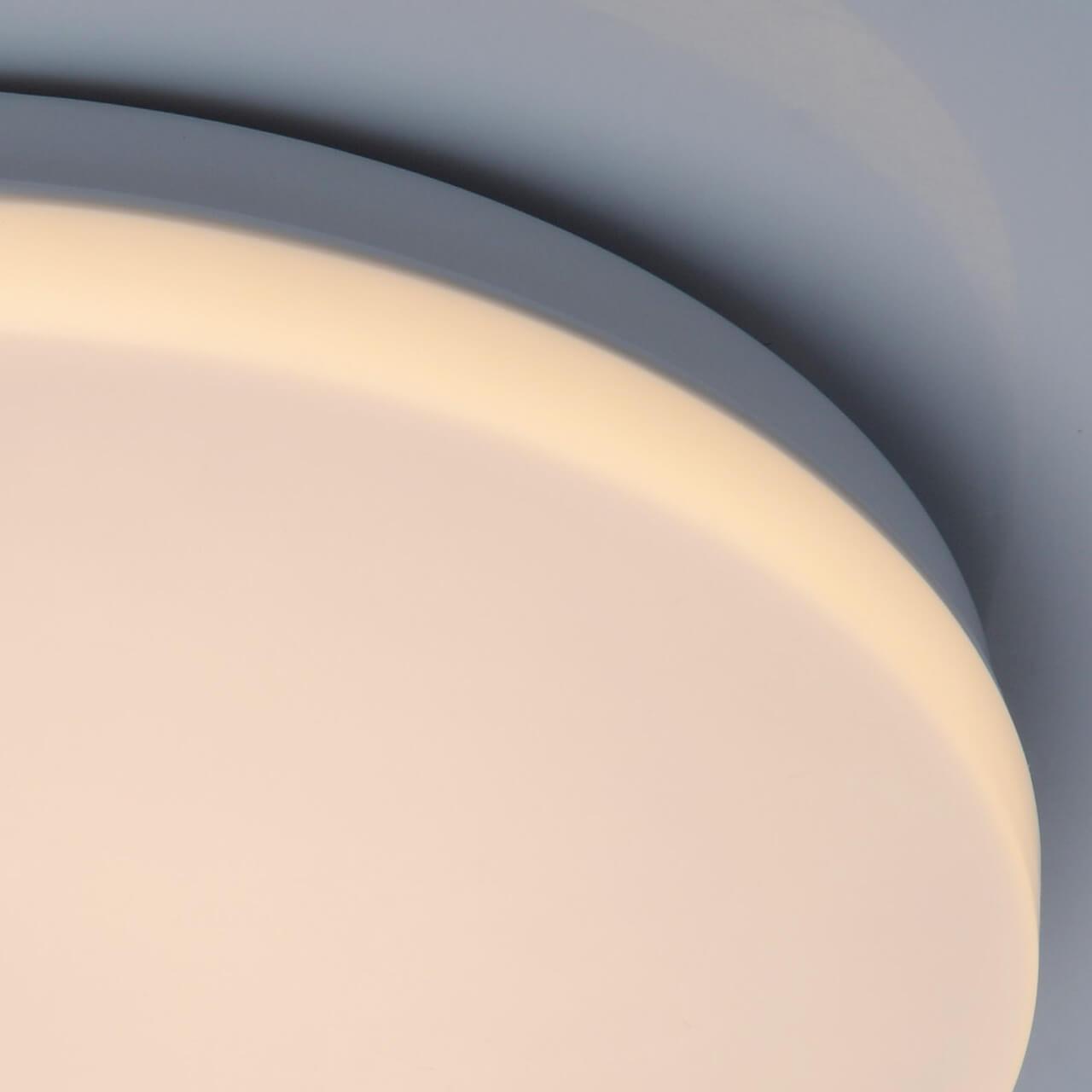 Потолочный светодиодный светильник De Markt Ривз 674017401 DE MARKT РИВЗ 223630 Белый  - Вид №2