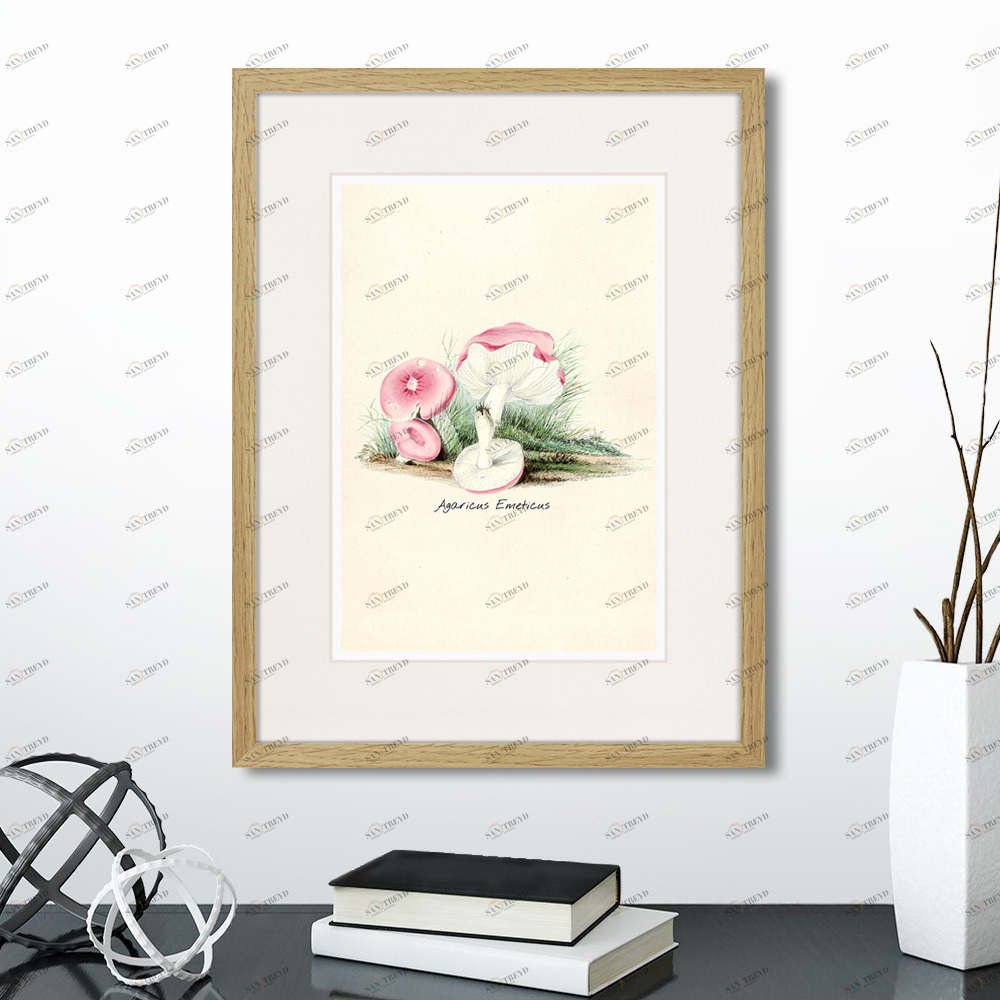 Литография на тонированной бумаге 42х32 см Botany illustration №6, 1836г. КАРТИНЫ В КВАРТИРУ  264506 Белый;коричневый;разноцветный 