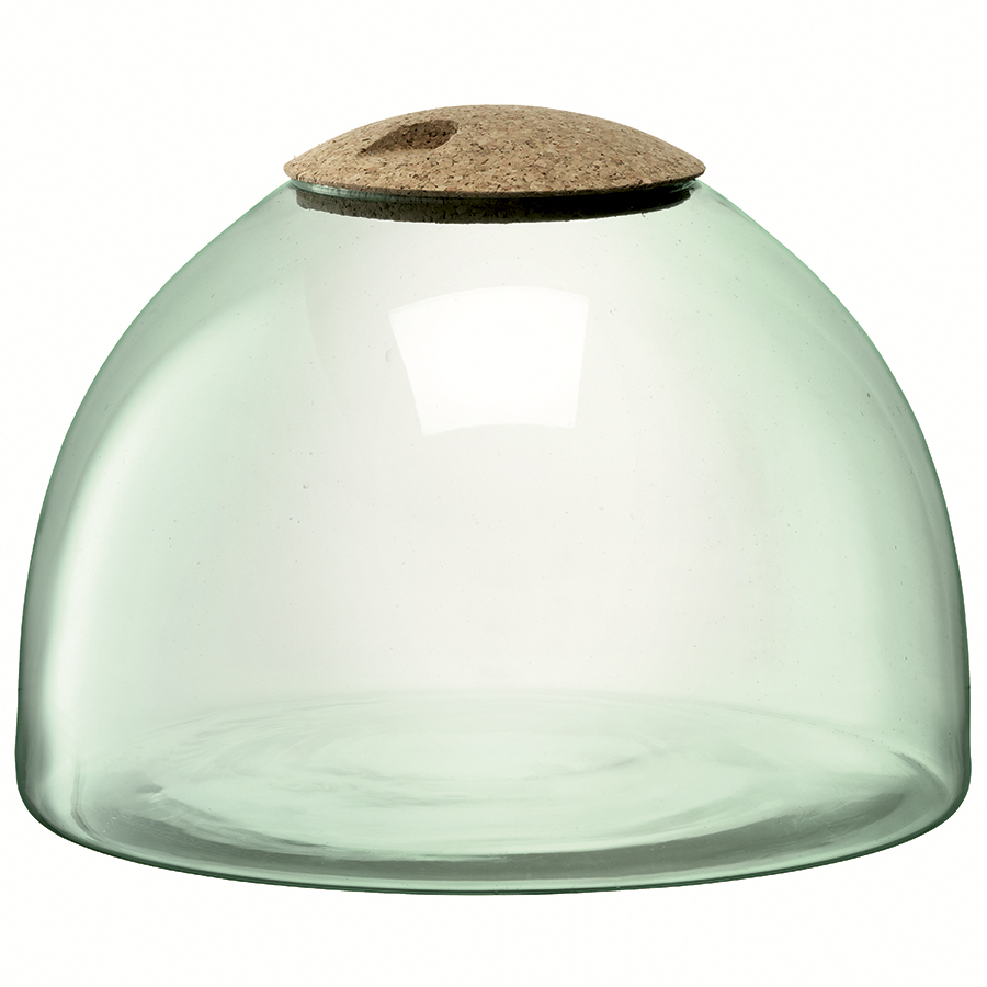 G1580-22-161 Флорариум canopy 22см LSA International 