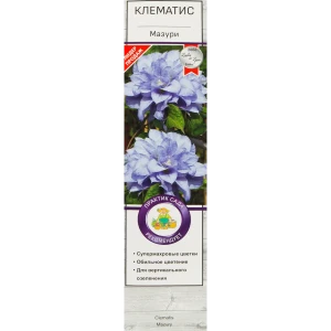 Клематис Мазури в тубе Поиск Инвест 81951259 STLM-2110888