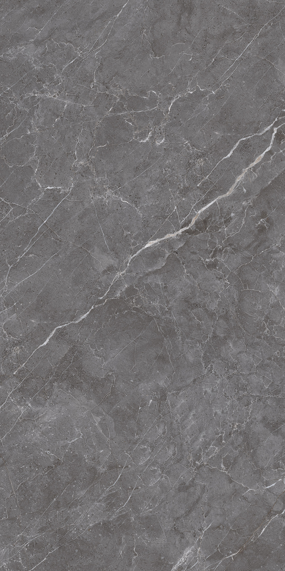 ESPERIA GRIGIO LAPPATO — Серый керамогранит с перламутровым блеском CL4003-A Arcadia Ceramica - Вид №8