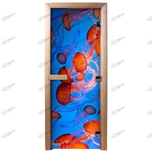 DoorWood Дверь с фотопечатью А088 5572