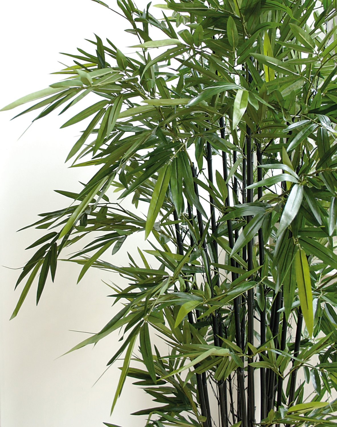 5694 883 a3 Бамбук искусственный, в горшке, 210 см, зеленый H-andreas  - Вид №9