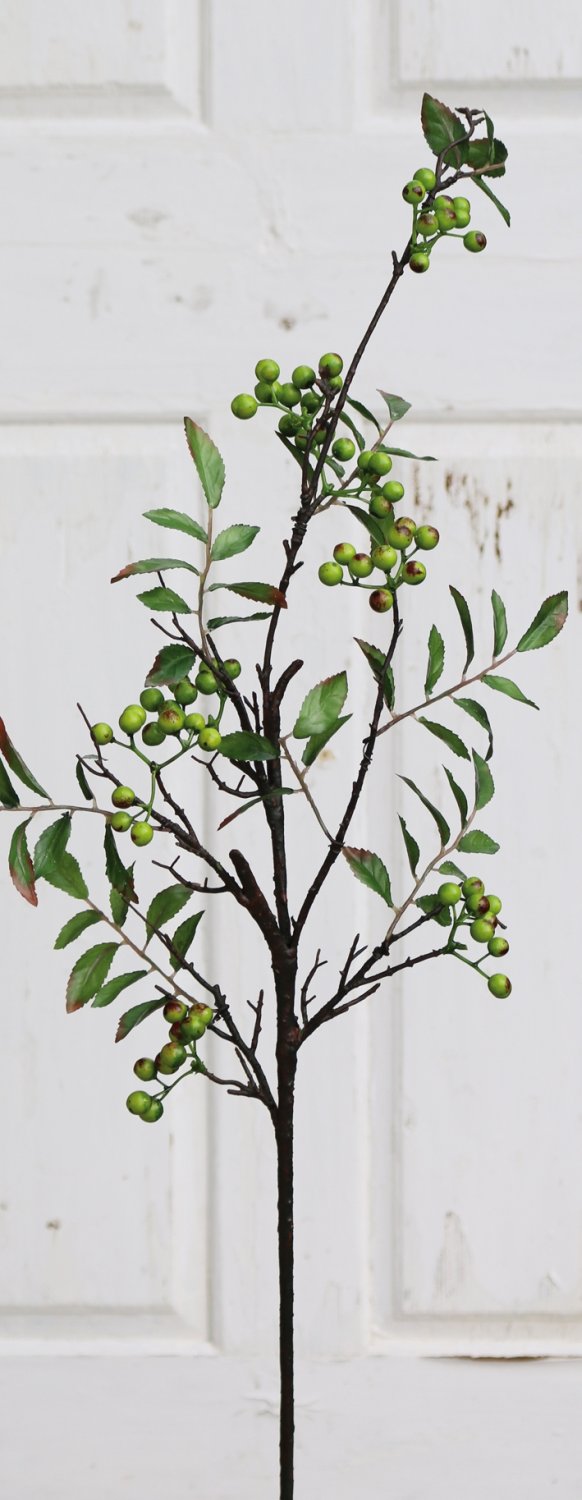 1552 883 a3 Спрей шелк ягодный, 106 см, зеленый H-andreas  - Вид №3