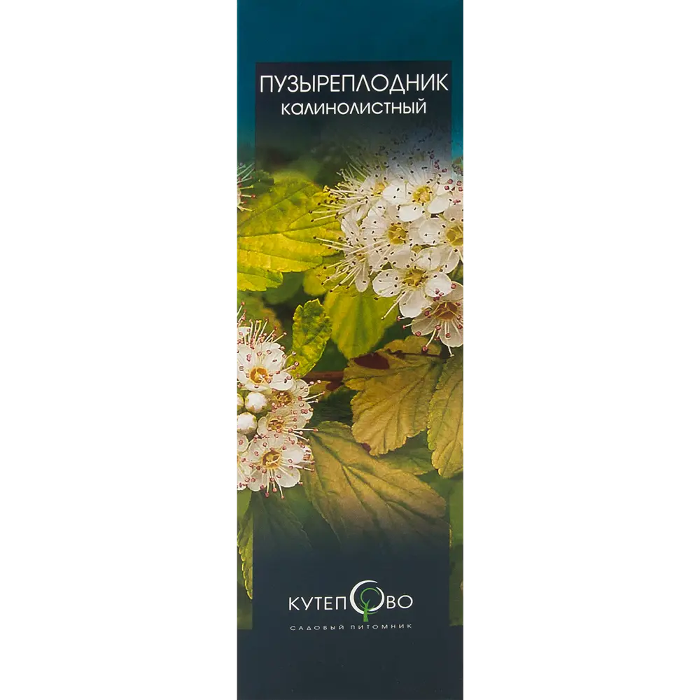 Пузыреплодник зеленый в коробке 17497009 STLM-2117594 Santreyd 