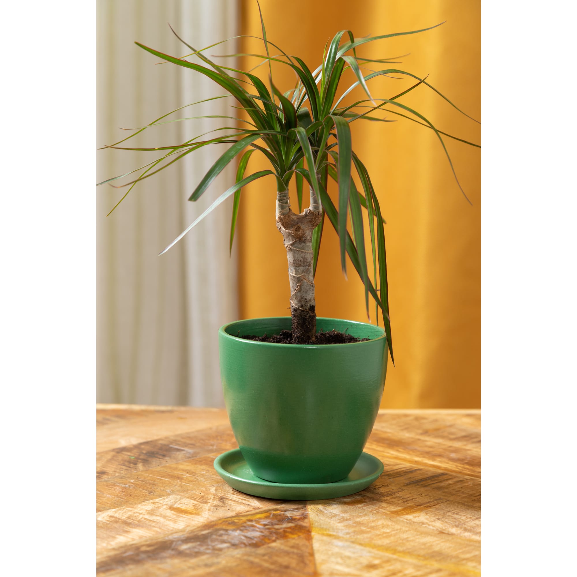 18875884 Горшок цветочный ø12 h11 см v0.8 л керамика зелёный Колор гейм Santreyd  - Вид №3