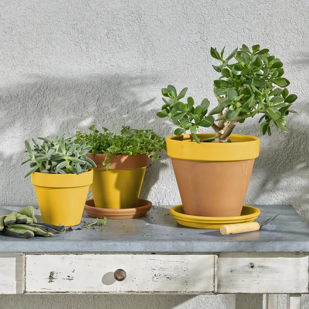 Аэрозольная эмаль Luxens матовая желтая для интерьера и улицы 83237395 STLM-0039752 - Вид №4