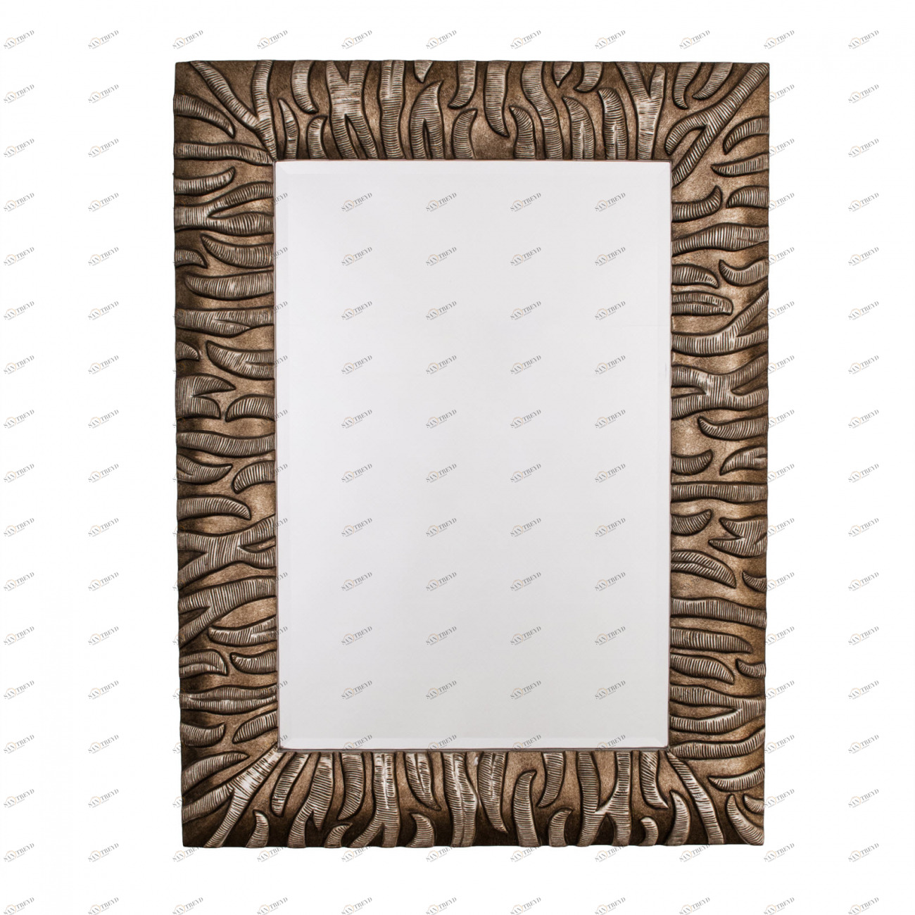 Зеркало прямоугольное настенное золото Tiger PUSHA ДИЗАЙНЕРСКИЕ 062566 Золото 