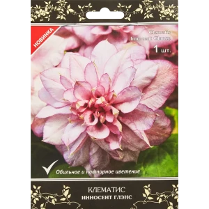 Клематис крупноцветковый Люкс Инносент Глэнс h30 см 83431384 STLM-2180907