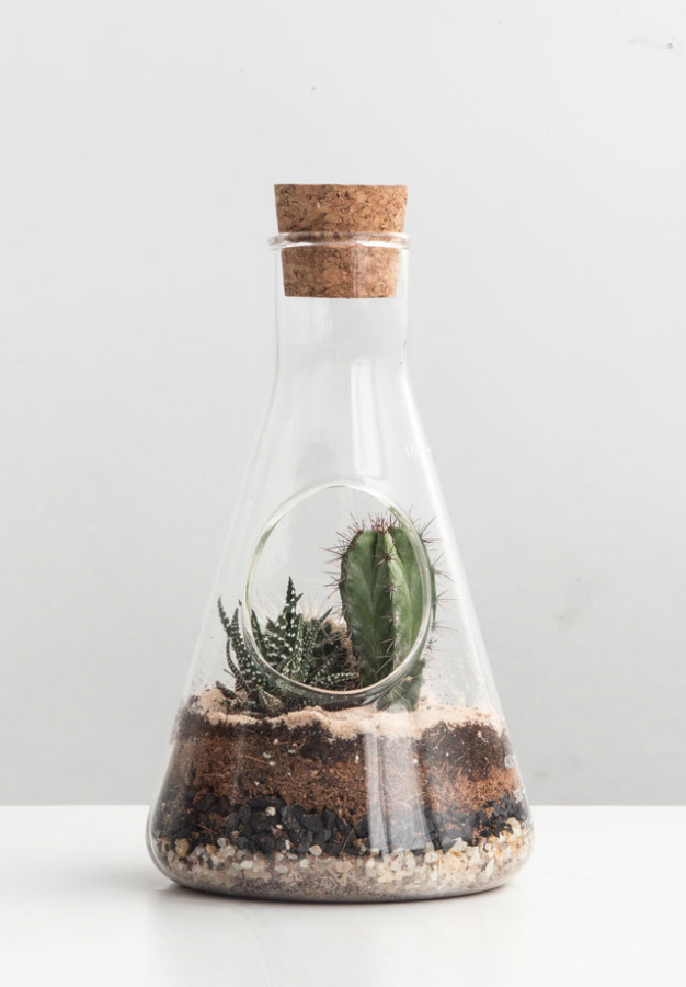 SK TERRCHEM1 Террариум chemistry Suck UK  - Вид №2