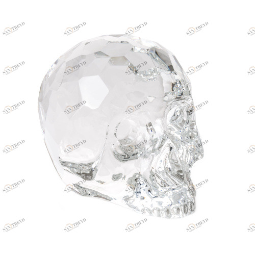 Декор / The Hamlet Dilemma Seletti sun-id-373964