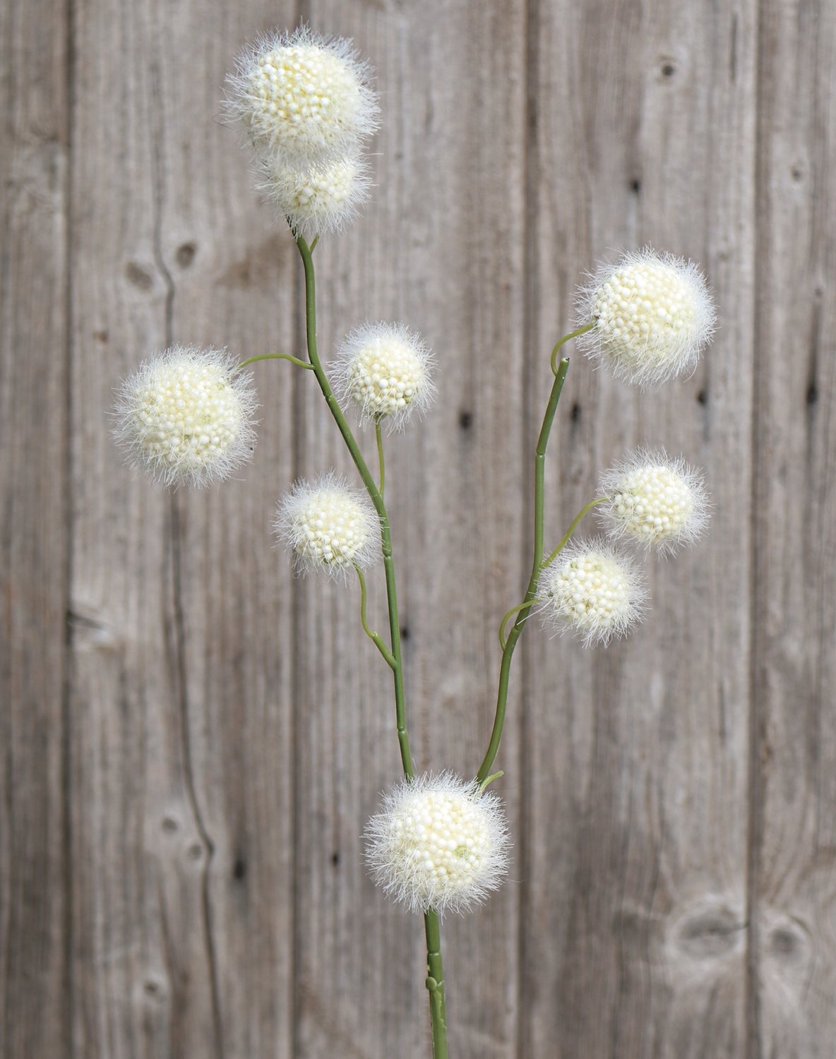 5549 778 a3 Фруктовая ветка гомфокарпус, 60 см, бежево-белая H-andreas 